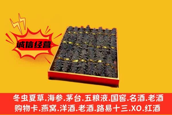 临沭县回收海参